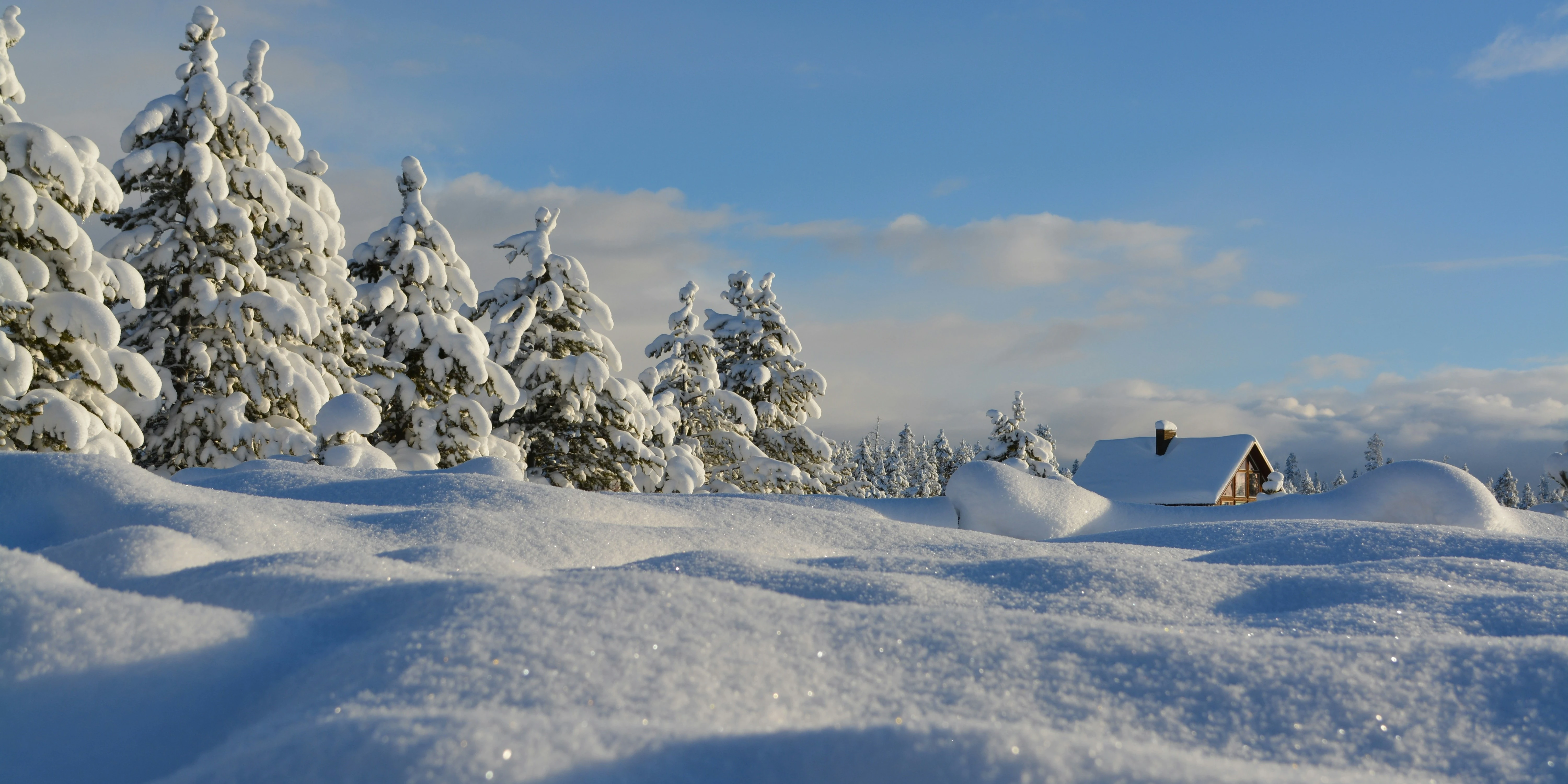 Winter Image
